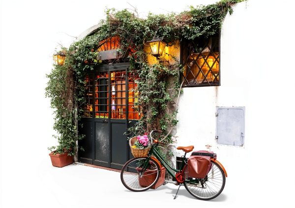 Halidon Classical Music CD Symphonies Opera Vocal Collection-2